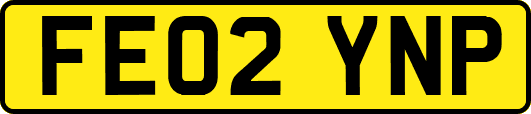 FE02YNP