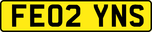 FE02YNS