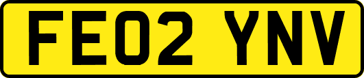 FE02YNV