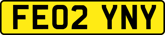 FE02YNY