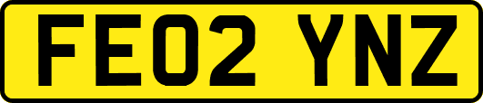 FE02YNZ