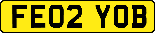 FE02YOB