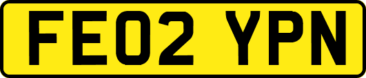 FE02YPN