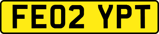 FE02YPT