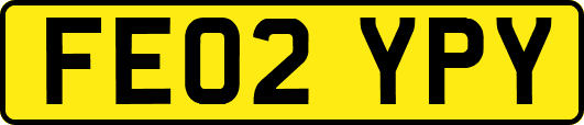 FE02YPY