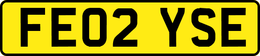 FE02YSE
