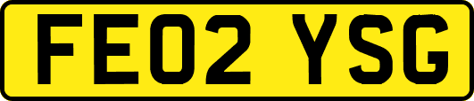 FE02YSG