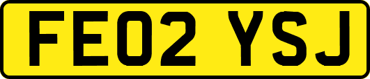 FE02YSJ