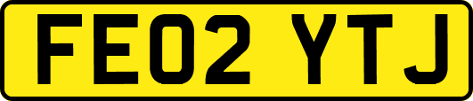 FE02YTJ