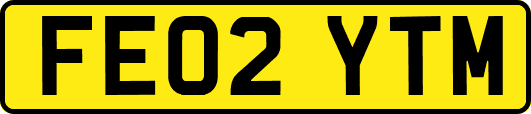 FE02YTM