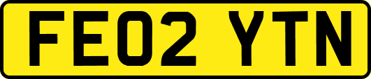 FE02YTN