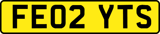 FE02YTS