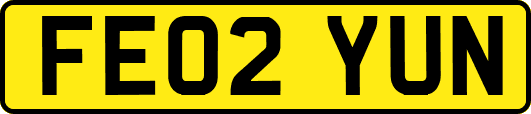 FE02YUN