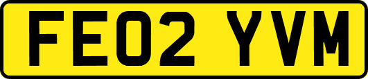 FE02YVM