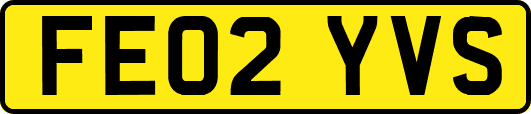 FE02YVS