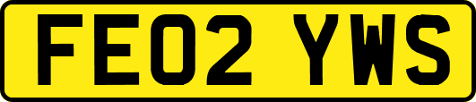 FE02YWS