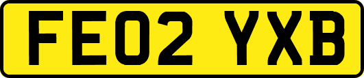 FE02YXB