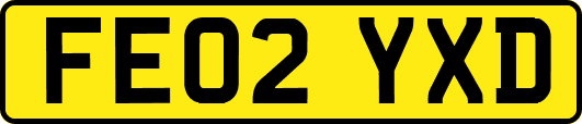 FE02YXD