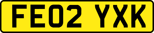 FE02YXK
