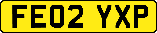 FE02YXP