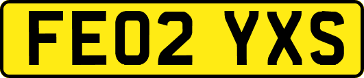 FE02YXS