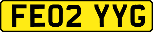FE02YYG