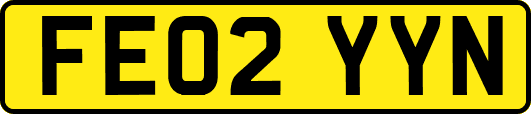FE02YYN