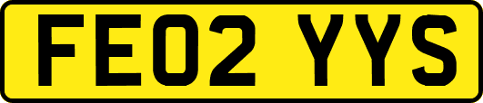 FE02YYS