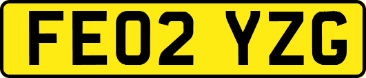 FE02YZG