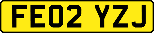 FE02YZJ