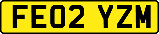 FE02YZM