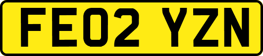 FE02YZN