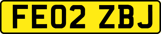 FE02ZBJ