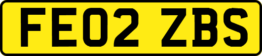 FE02ZBS