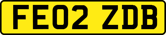 FE02ZDB