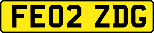 FE02ZDG