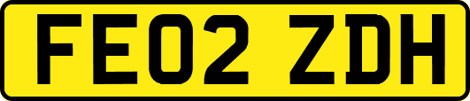 FE02ZDH