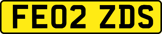 FE02ZDS