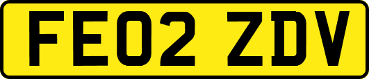 FE02ZDV