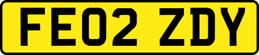 FE02ZDY