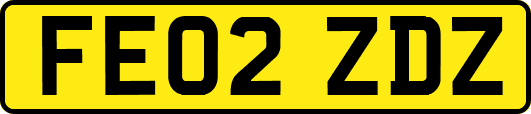 FE02ZDZ