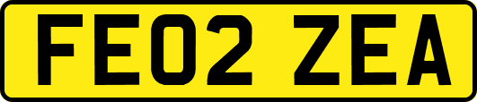 FE02ZEA
