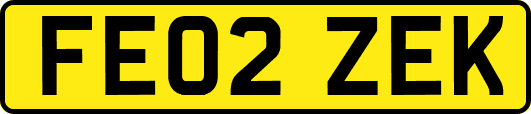 FE02ZEK