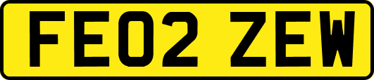 FE02ZEW