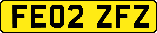 FE02ZFZ