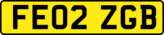 FE02ZGB