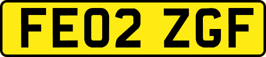 FE02ZGF