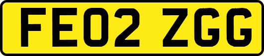 FE02ZGG