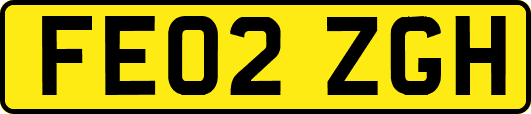 FE02ZGH