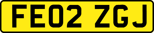 FE02ZGJ
